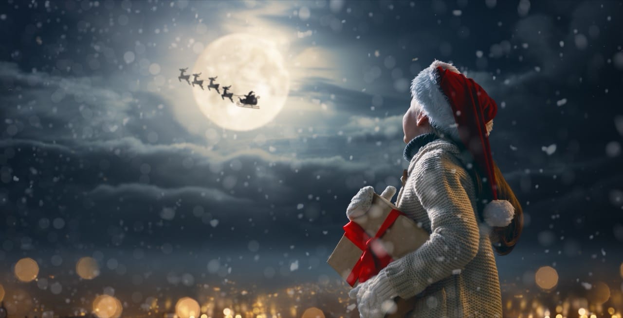 The Ultimate Santa's Reindeer Quiz | Quiz Animals