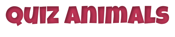 Quiz Animals